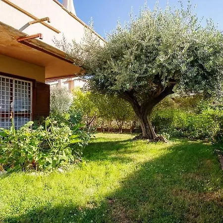 Pit Stop In Nel A Roma-aeroporto Di Ciampino Villa